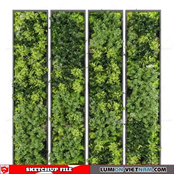 Plant Wall - Sketchup Models By Dinh Thanh