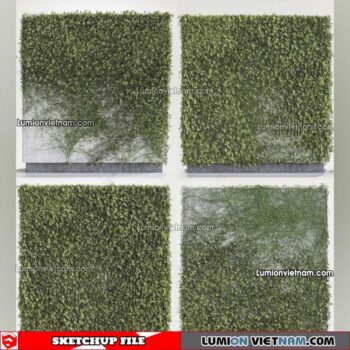 230215. Creeper Plants Sketchup Models