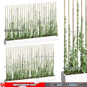 230215. Creeper Plants Sketchup Models