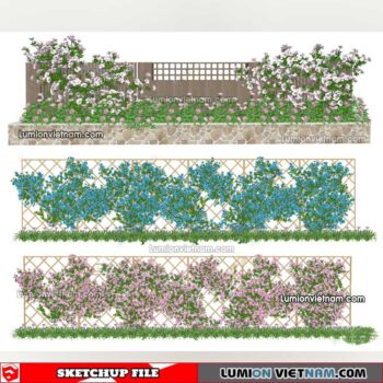 230215. Creeper Plants Sketchup Models