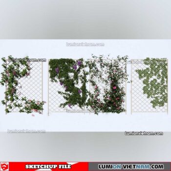230215. Creeper Plants Sketchup Models