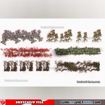 230215. Creeper Plants Sketchup Models