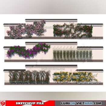 230215. Creeper Plants Sketchup Models