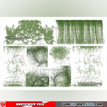 230215. Creeper Plants Sketchup Models
