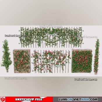 230215. Creeper Plants Sketchup Models