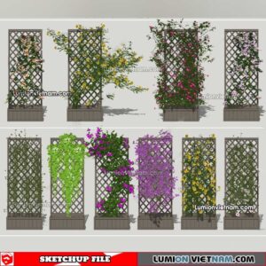 230215. Creeper Plants Sketchup Models