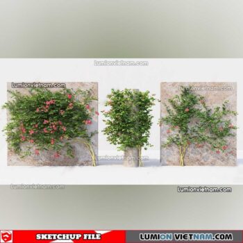 230215. Creeper Plants Sketchup Models