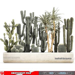 230227. Cactus Sketchup Models