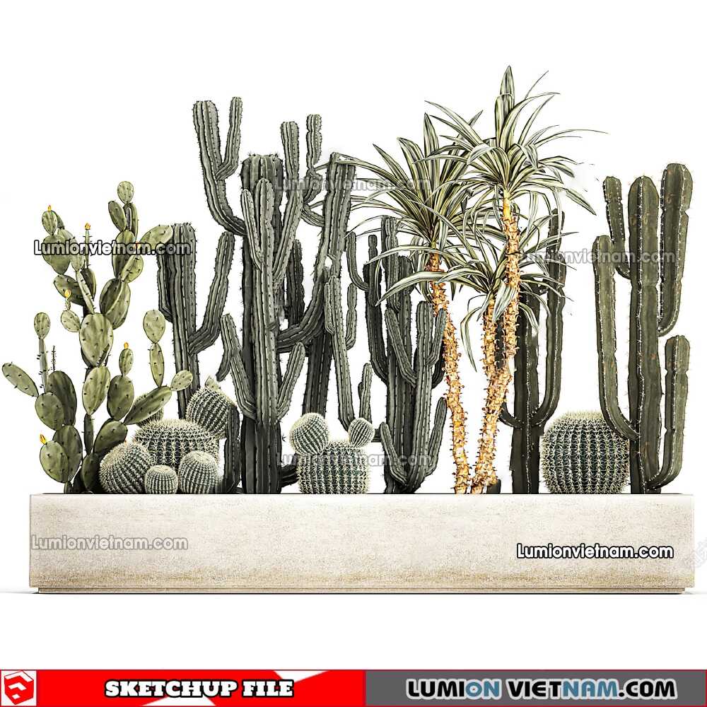 230227-Cactus-(1)-Sketchup-Models