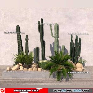 230227. Cactus Sketchup Models