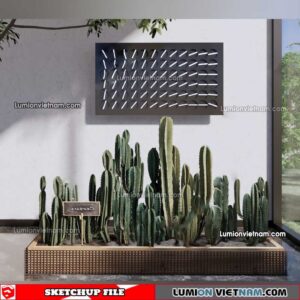 230227. Cactus Sketchup Models
