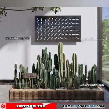 230227. Cactus Sketchup Models