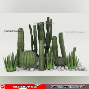 230227. Cactus Sketchup Models