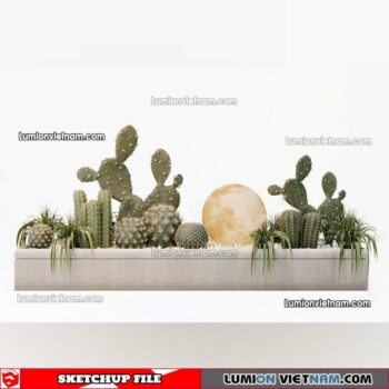 230227. Cactus Sketchup Models
