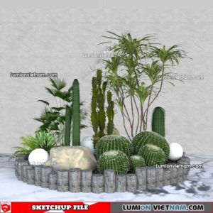230227. Cactus Sketchup Models
