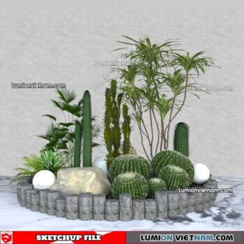 230227. Cactus Sketchup Models