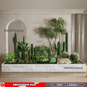 230227. Cactus Sketchup Models