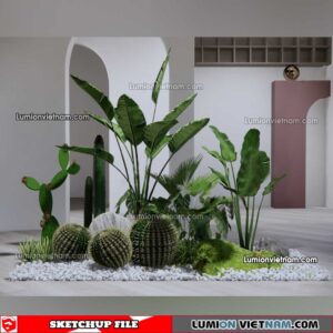 230227. Cactus Sketchup Models