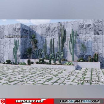 230227. Cactus Sketchup Models