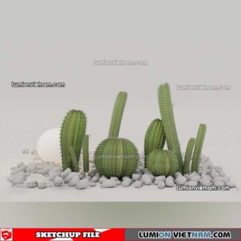 230227. Cactus Sketchup Models