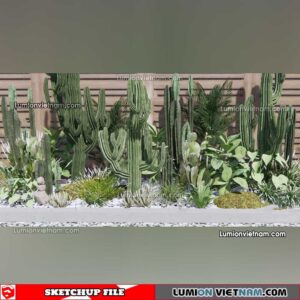 230227. Cactus Sketchup Models