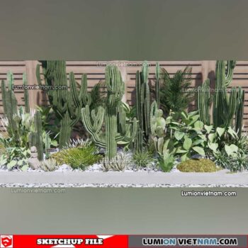 230227. Cactus Sketchup Models