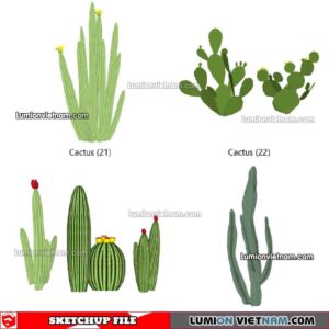 230227. Cactus Sketchup Models