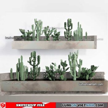 230227. Cactus Sketchup Models