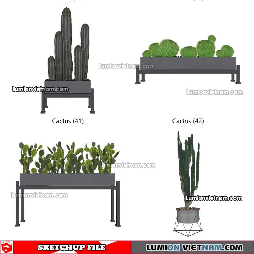 230227-Cactus-(33)-Sketchup-Models