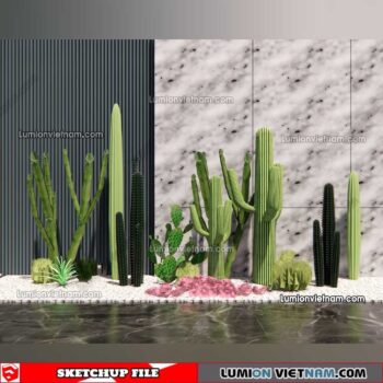 230227. Cactus Sketchup Models