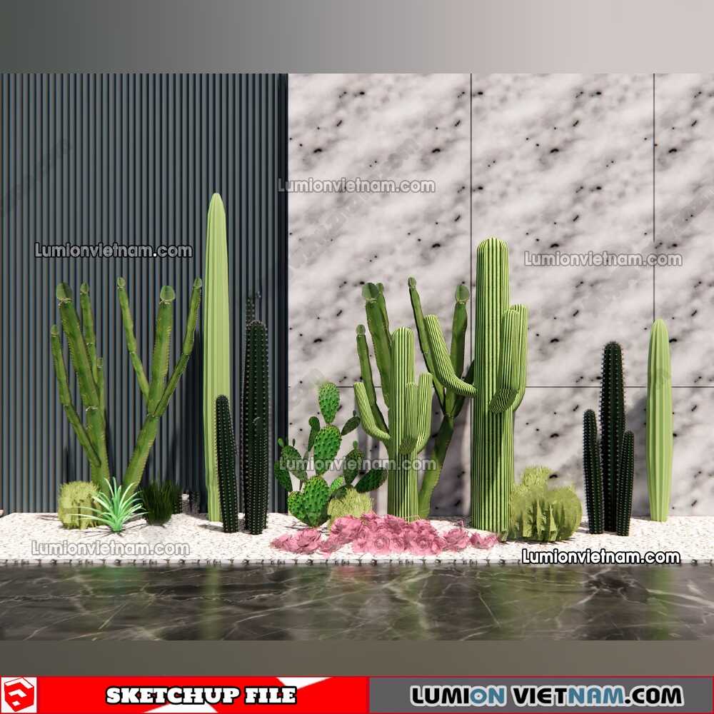 230227-Cactus-(4)-Sketchup-Models