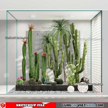 230227. Cactus Sketchup Models