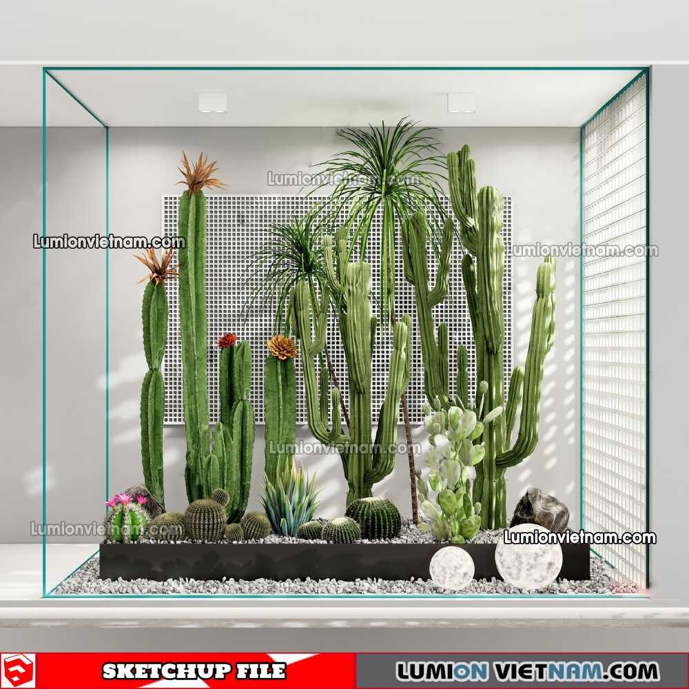 230227-Cactus-(5)-Sketchup-Models