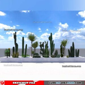 230227. Cactus Sketchup Models