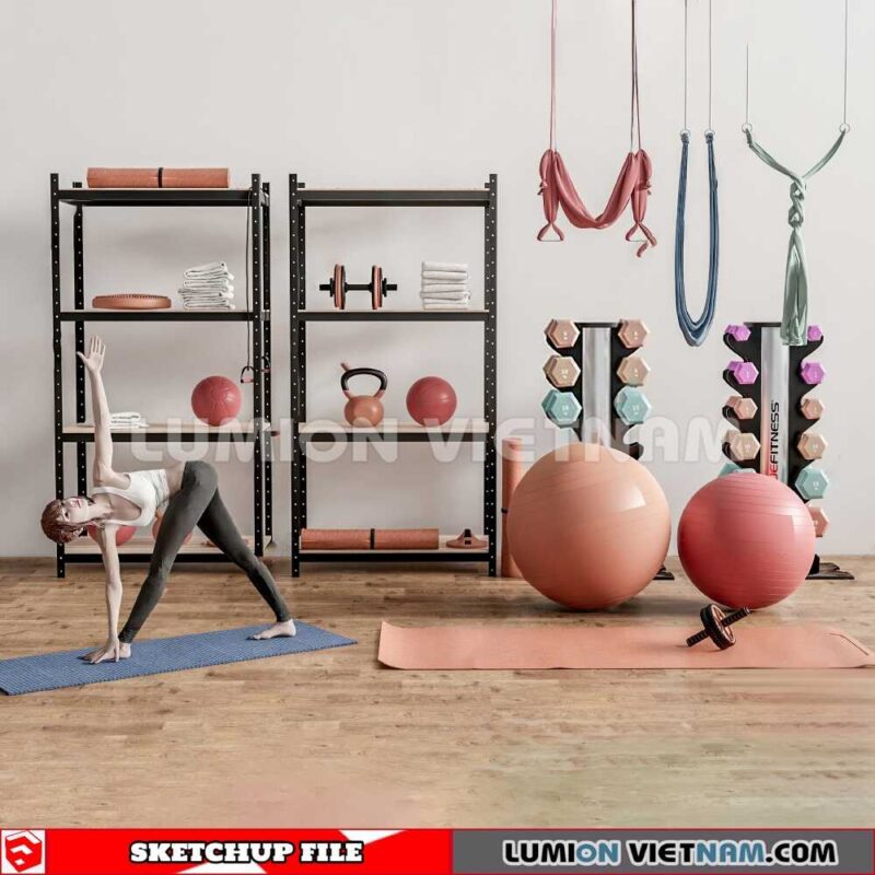 230506. Gym Equipment Sketchup 3D Models