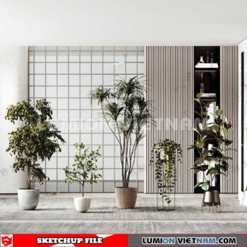 230614. Plant Pots Sketchup 3D Models