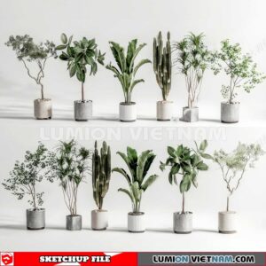 230614. Plant Pots Sketchup 3D Models