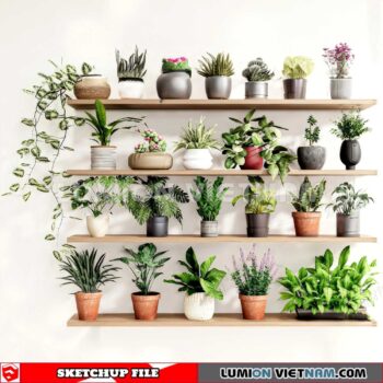 230614. Plant Pots Sketchup 3D Models