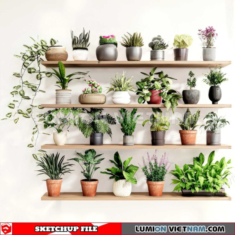 230614. Plant Pots Sketchup 3D Models