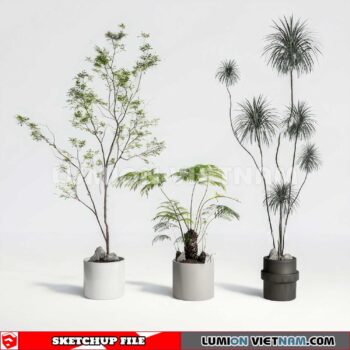 230614. Plant Pots Sketchup 3D Models