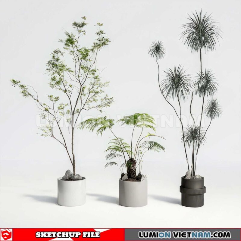 230614. Plant Pots Sketchup 3D Models