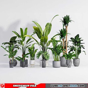 230614. Plant Pots Sketchup 3D Models