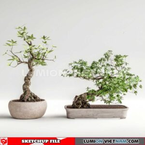 230614. Plant Pots Sketchup 3D Models