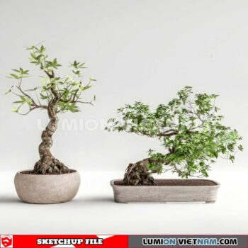 230614. Plant Pots Sketchup 3D Models