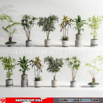 230614. Plant Pots Sketchup 3D Models