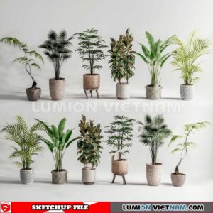 230614. Plant Pots Sketchup 3D Models