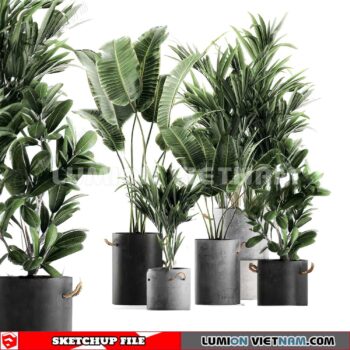 230614. Plant Pots Sketchup 3D Models