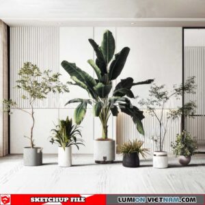 230614. Plant Pots Sketchup 3D Models