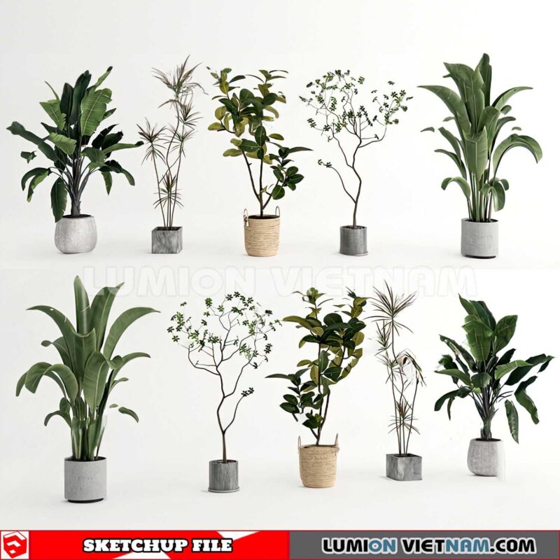 230614. Plant Pots Sketchup 3D Models