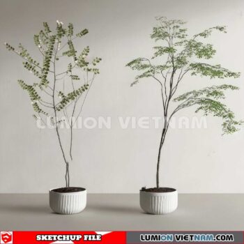 230614. Plant Pots Sketchup 3D Models